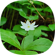 바람이 머무는 자리에..., 블로그 홈