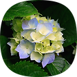詩人 美風 김영국입니다, 블로그 홈
