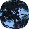 문화기린각(文化麒麟閣), 블로그 홈