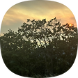 oaktree, 블로그 홈