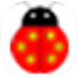 ladybug TV, 블로그 홈