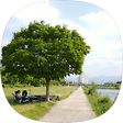 발자국, 블로그 홈