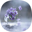 happyday, 블로그 홈