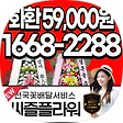59플라워 티스토리, 블로그 홈
