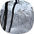 세상사는 이야기, 블로그 홈