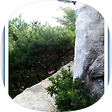 청아당 인체전자석연구회, 블로그 홈