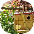 구정(鷗汀)의 새집(Nest box and bird Feeders), 블로그 홈