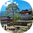 웅석사랑채, 블로그 홈