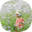 석화의 여행이야기, 블로그 홈