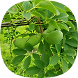 순천부동산 배들공인 010-4640-7959, 블로그 홈