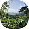聽雨軒, 블로그 홈