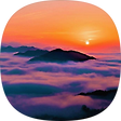 법등, 블로그 홈