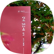 銀月(은월) 시 ##스튜디오, 블로그 홈