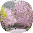 망치의 들꽃사랑, 블로그 홈