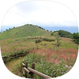 산길따라, 블로그 홈