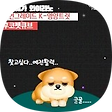 강아지 후코이단 영양제 후코펫캡슐, 후코펫큐브, 블로그 홈