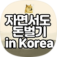 자면서도 돈벌기, 블로그 홈