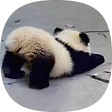 iseolin, 블로그 홈