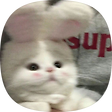 Hueestory, 블로그 홈