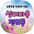 어르신들을 위한 실버타운 정보통, 블로그 홈