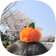 TisTtony, 블로그 홈