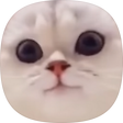 codinging, 블로그 홈