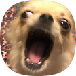 lurgi, 블로그 홈