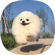 말감로그, 블로그 홈