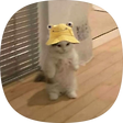 나만의 개발블로그, 블로그 홈