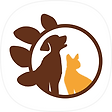 Petformation, 블로그 홈