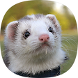 CodeLabs, 블로그 홈