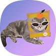 :), 블로그 홈