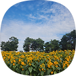 Toby's Study Blog, 블로그 홈