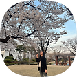 회사 다니는 프로사부작러, 블로그 홈