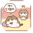 talstory, 블로그 홈
