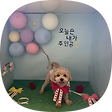 나만의 자산, 블로그 홈