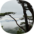 요세비님의 블로그, 블로그 홈