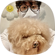 kangmin's blog, 블로그 홈