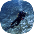 HJDive Gallery, 블로그 홈