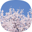 이것은 블로그로소이다, 블로그 홈