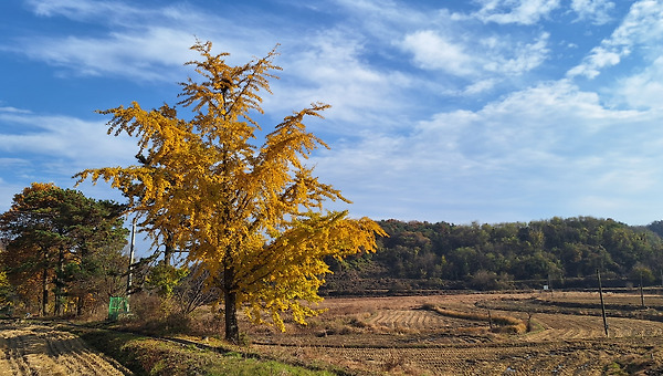 고독이라는 이름의 중력