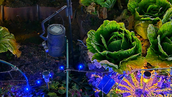 신체에서 신체로 잇는 삶의 전수