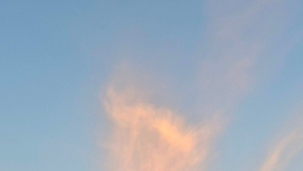 아랍에미레이트적 환대