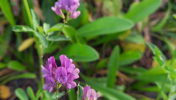 때가 되면 온다