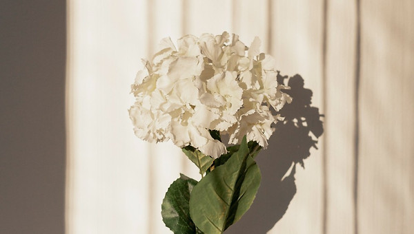 사람이 무서운 사람들