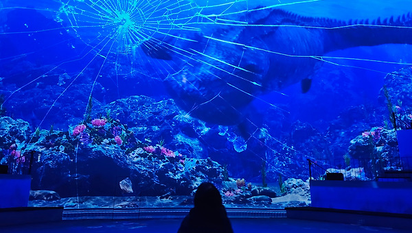 가까운 관계일수록 멀리서 쓰기
