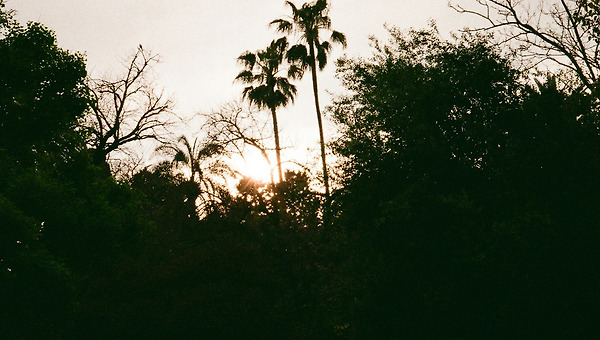 죽은 자의 시선