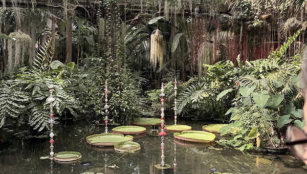 그럼 어떻게 하면 좋지?