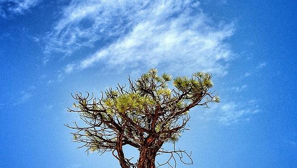살 빼려고 달리기 하지 마라