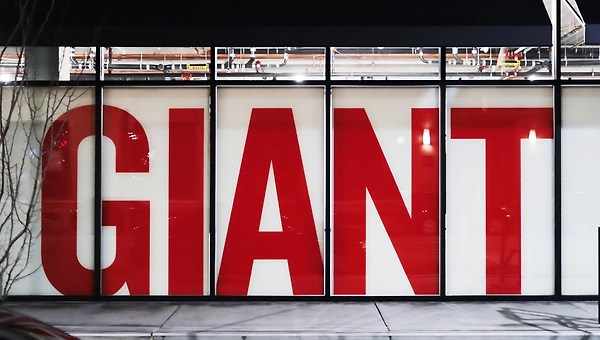 V리그의 문턱에서: